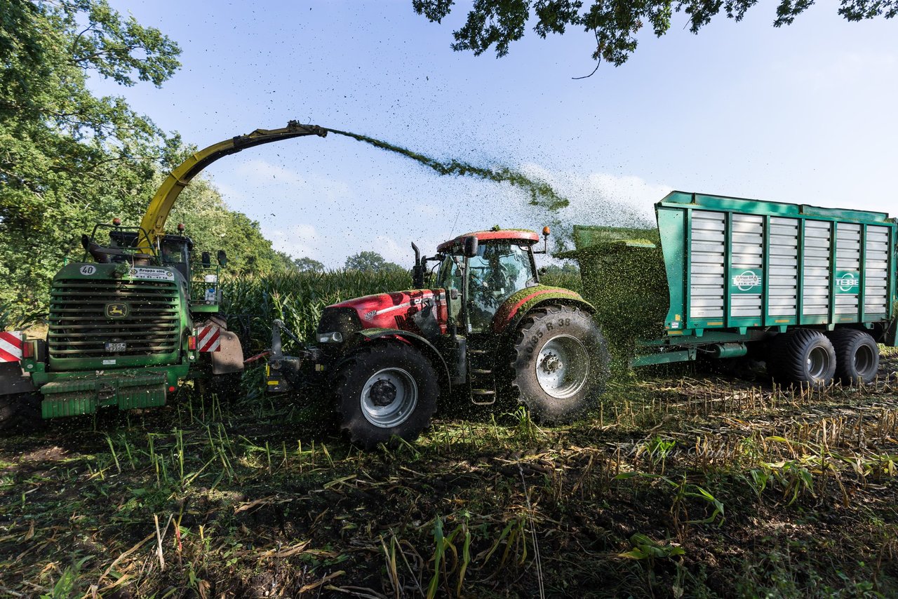 Bild 200 - Maisernte